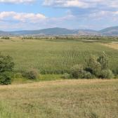 2013.07.28. A farm, ahol élünk