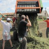 2013.07.26 Disznóvágás – sajtónap (mindent “úgy kell csinálni”, mintha természetes lenne) 