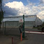 az üvegháztelep csücske